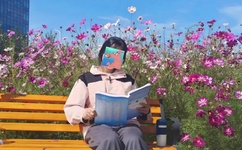 午夜福利0855免费视频